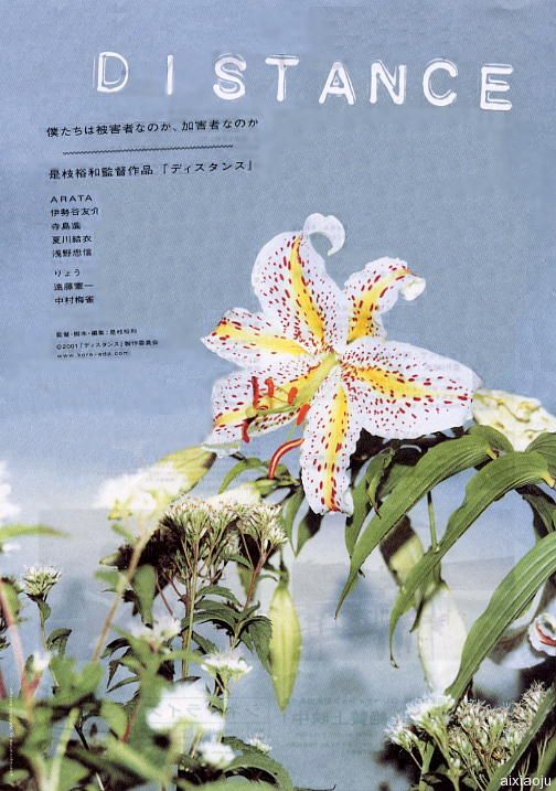 点击查看原图