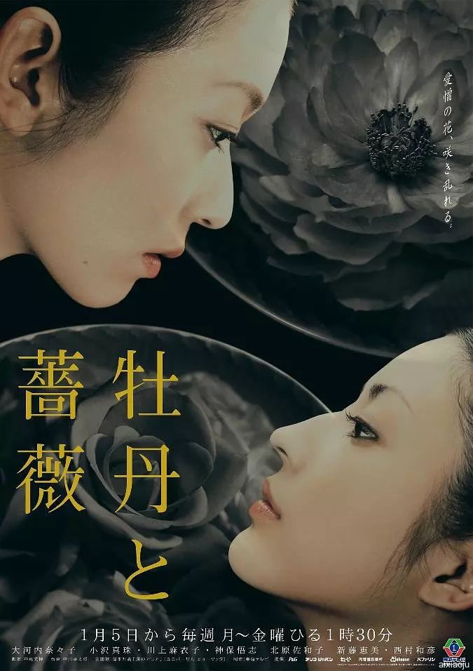 点击查看原图