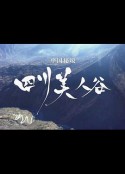 海报