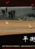 海报