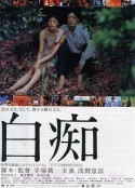 海报