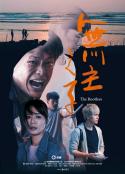海报