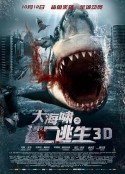 海报