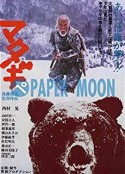 海报