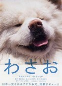海报