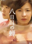 海报