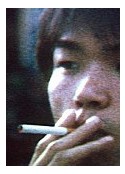 海报