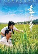 海报