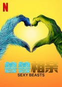 海报