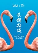 海报