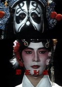 海报