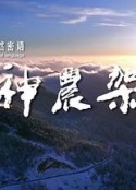 海报