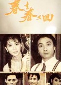 海报