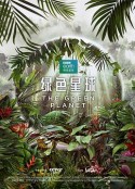 海报