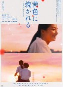 海报