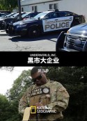 海报
