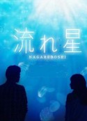 海报