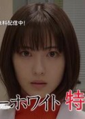 海报