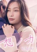 海报