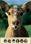 海报