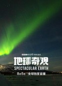 海报