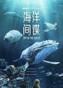 海报