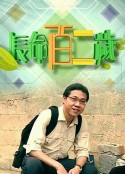 海报
