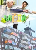 海报
