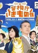 海报