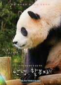 海报
