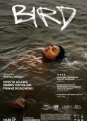 海报