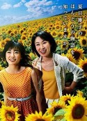 海报