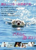 海报