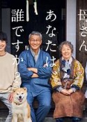 海报