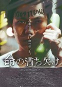 海报