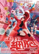 海报