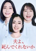 海报