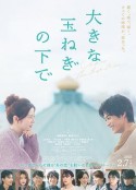 海报