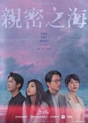 海报