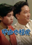 海报