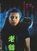 海报