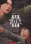 海报