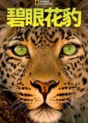 海报