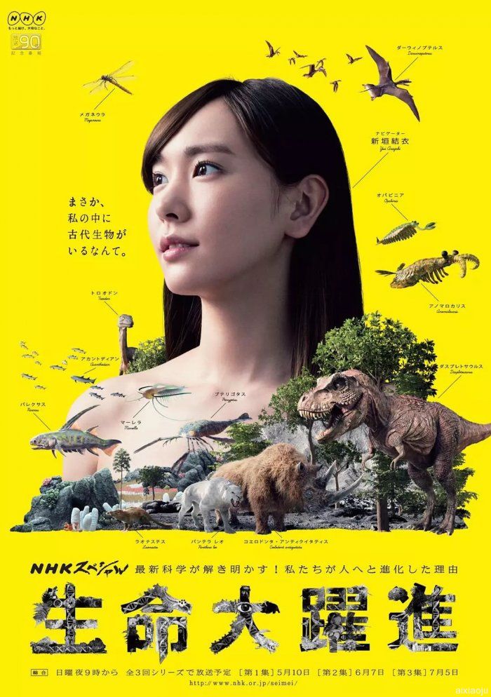 点击查看原图