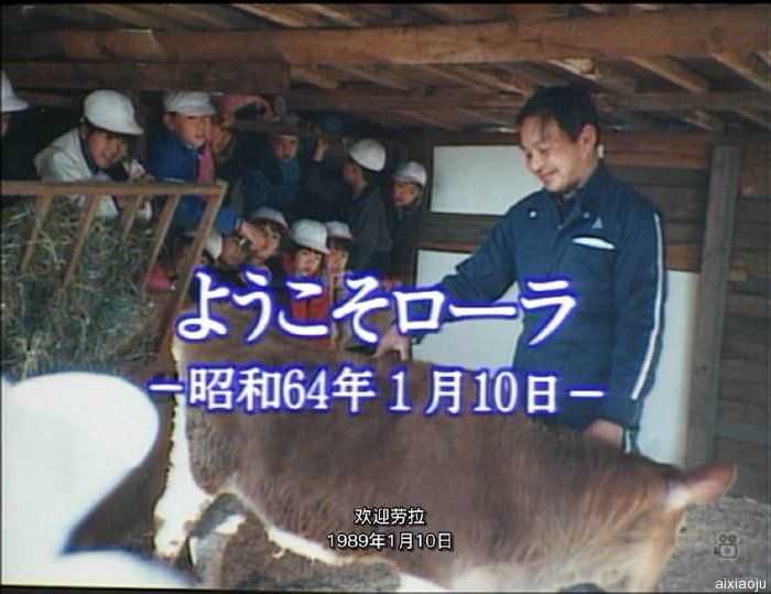 点击查看原图